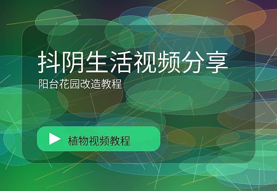 森街影像