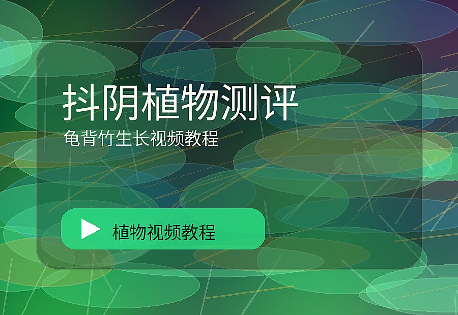 森街影像