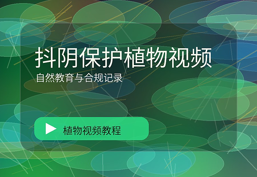 森街影像