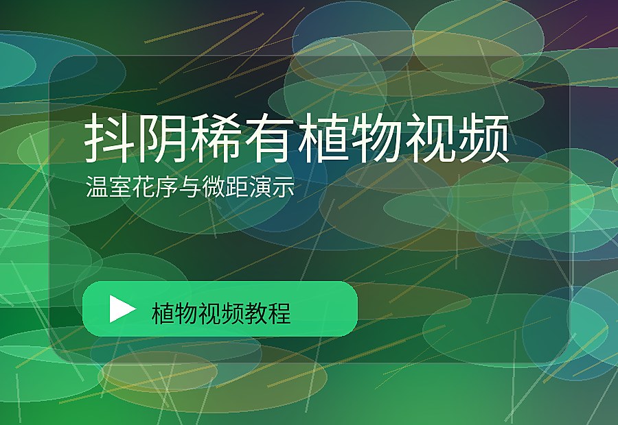 森街影像