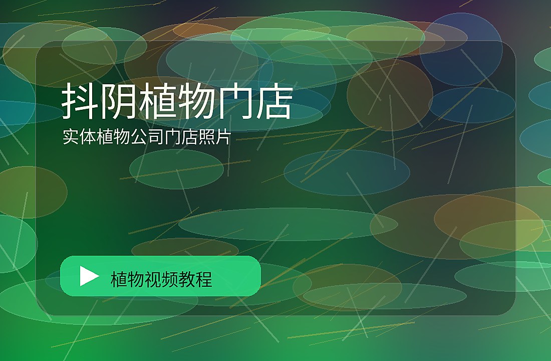森街影像